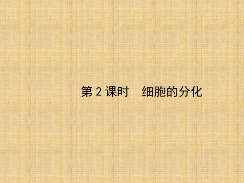 高中生物第2章组成细胞的分子第2课时名师课件新人教版必修