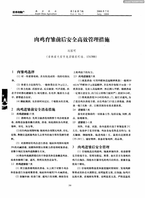 肉鸡育雏前后安全高效管理措施