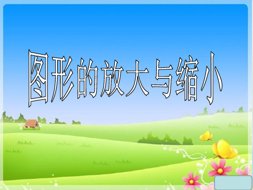 六年级上册数学 图形的放大与缩小丨浙教版 2