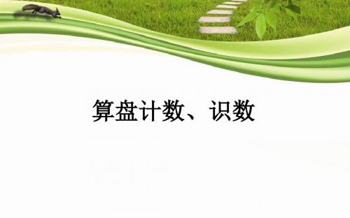 苏教版小学二年级数学下册用算盘识数、计数 (3)