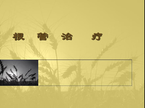口腔内科学根管预备1
