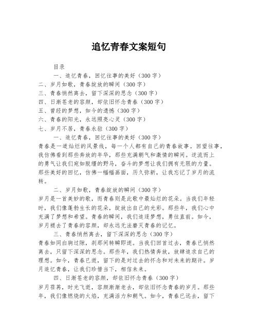 追忆青春文案短句