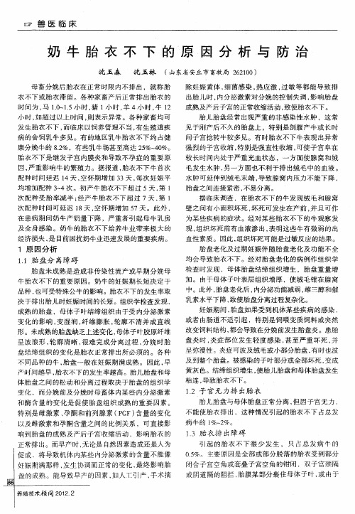 奶牛胎衣不下的原因分析与防治