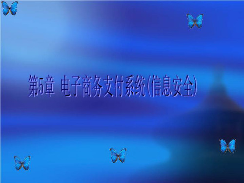 第5章 电子商务支付系统(信息安全)