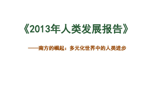 2013年人类发展报告