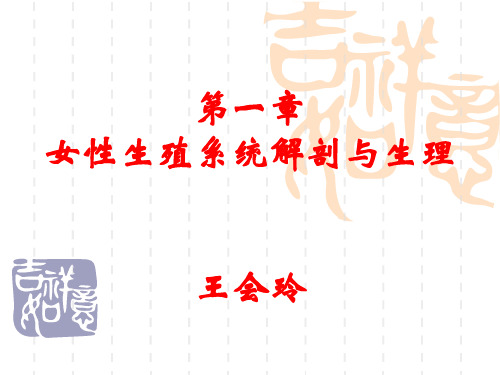 第一章女性生殖系统解剖与生理