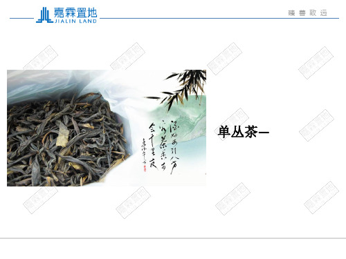 单丛茶
