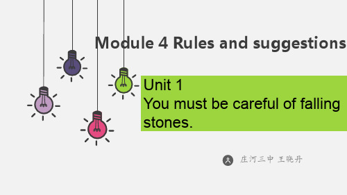 外研版九年级下册英语《Module 4 Rules and suggestions Unit 》课件公开课 (9)