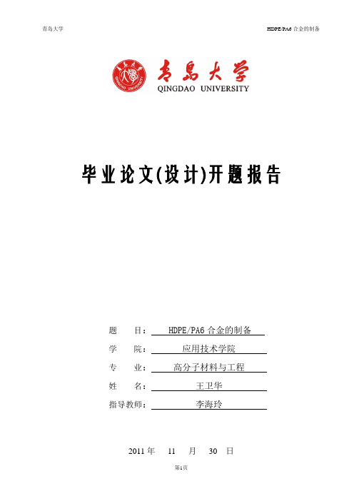 王卫华 开题报告
