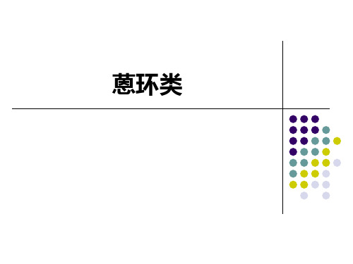 蒽环类