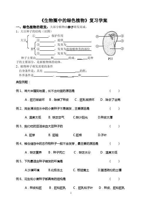 生物圈中的绿色植物复习课学案