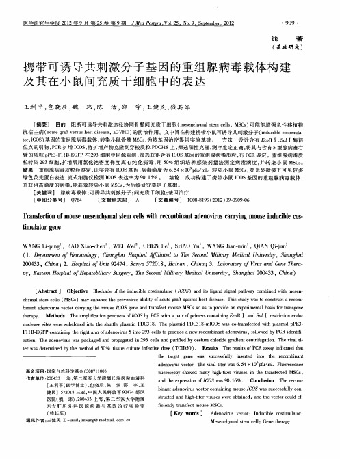 携带可诱导共刺激分子基因的重组腺病毒载体构建及其在小鼠间充质干细胞中的表达