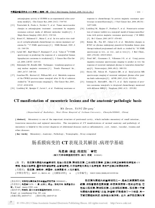 肠系膜病变的CT表现及其解剖病理学基础