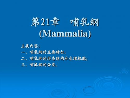 12第21章 哺乳纲