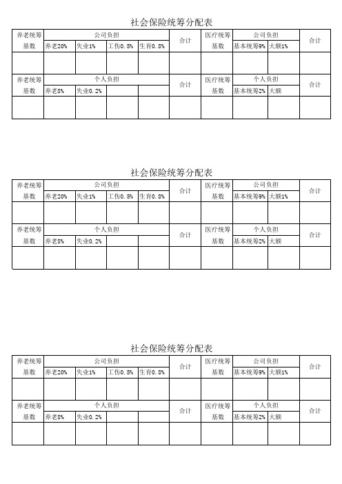 社会保险统筹分配表