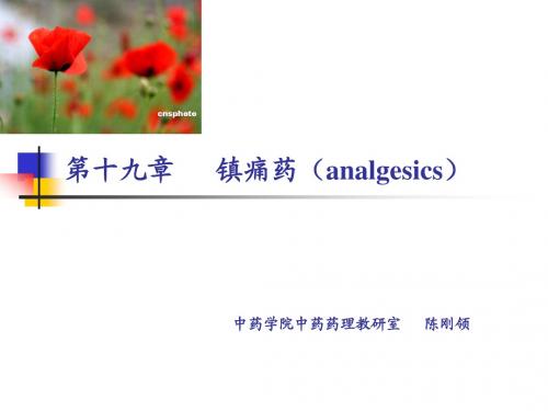 镇痛药