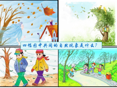 《风的故事》课件