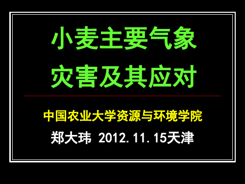 小麦主要气象灾害及其应对