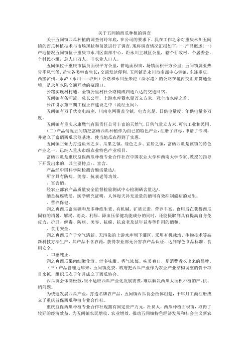 关于五间镇西瓜种植的调查