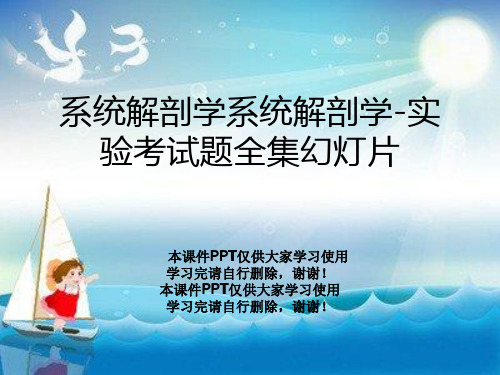 系统解剖学系统解剖学-实验考试题全集幻灯片