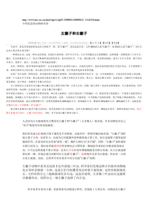 左撇子和右撇子