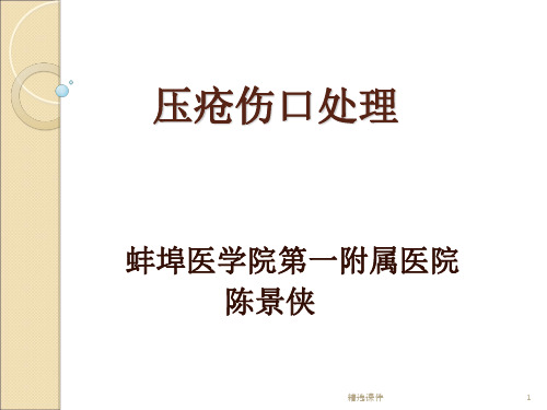 《压疮创面处理》PPT课件