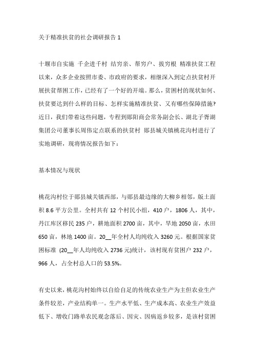 关于精准扶贫的社会调研报告5篇