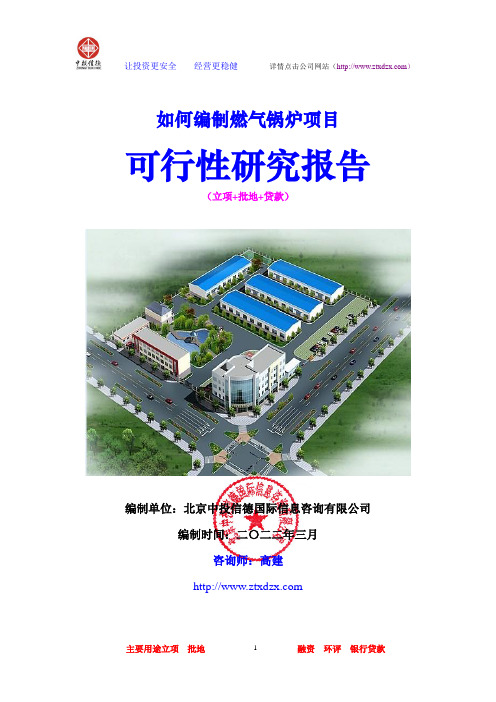燃气锅炉项目可行性研究报告