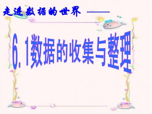 6.1数据的收集与整理