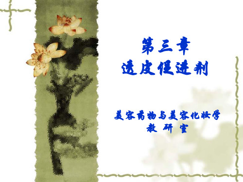 透皮促进剂