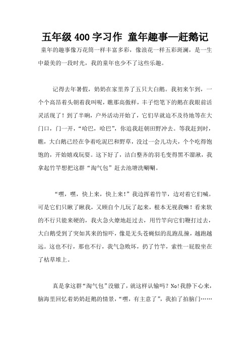 五年级400字习作 童年趣事—赶鹅记