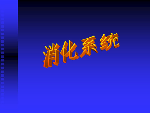 《人体解剖学》课件_第八章_消化系统