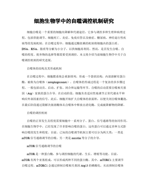 细胞生物学中的自噬调控机制研究
