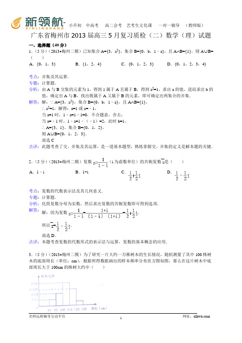 广东省梅州市2013届高三总复习检测(二)数学理试题(WORD解析版)