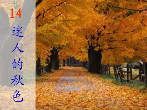 沪教版小学语文二年级上册《迷人的秋色》课件