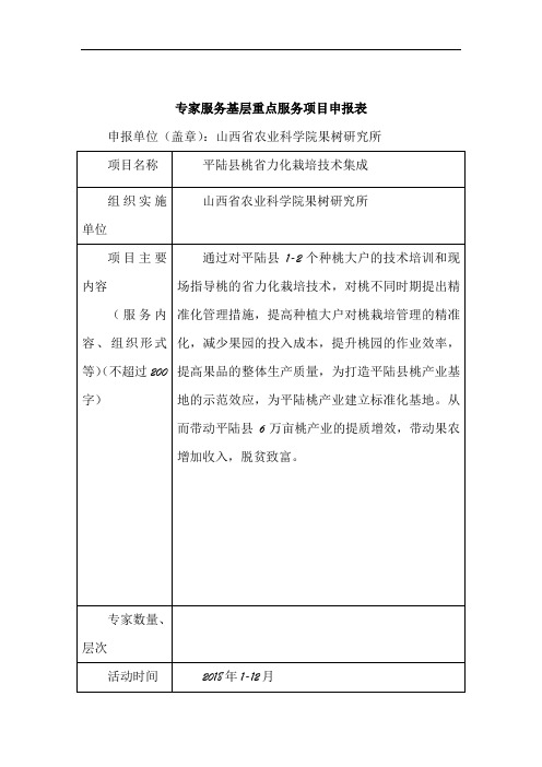 (20180202)专家服务基层重点服务项目申报表