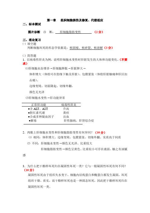病理实习报告作业参考答案