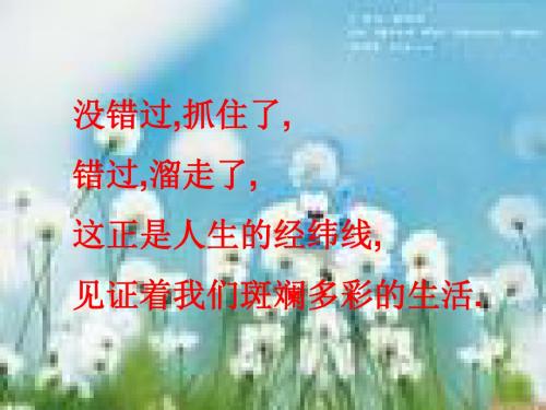 悔的边缘PPT6 北师大版 (共15张PPT)