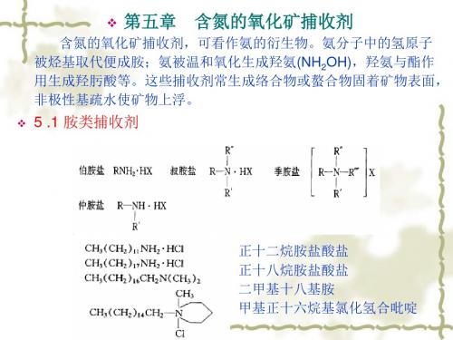 浮选药剂化学原理与应用-第五章  含氮的氧化矿捕收剂
