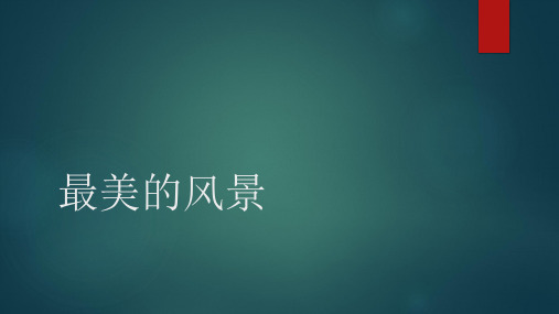 最美的风景鄂教版小学语文六年级同步作文