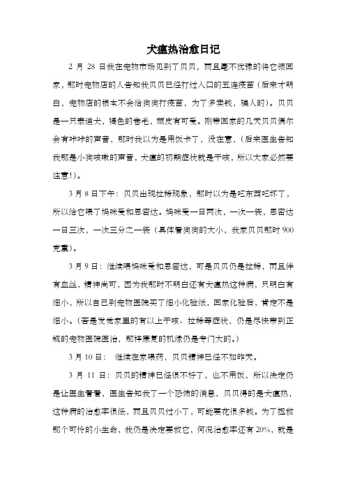 犬瘟热治愈日记