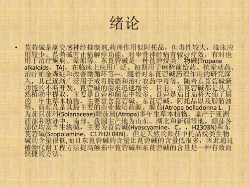 绪论