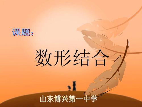 高一校本：数形结合思想