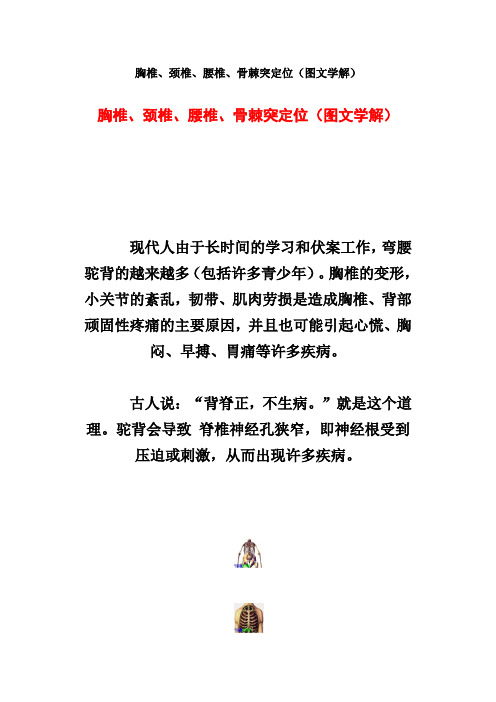 【胸椎等图解】