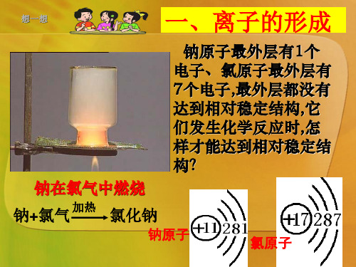初中化学九上 2.3  离子的形成  课件