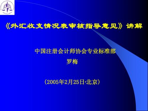 外汇收支情况审核指导意见