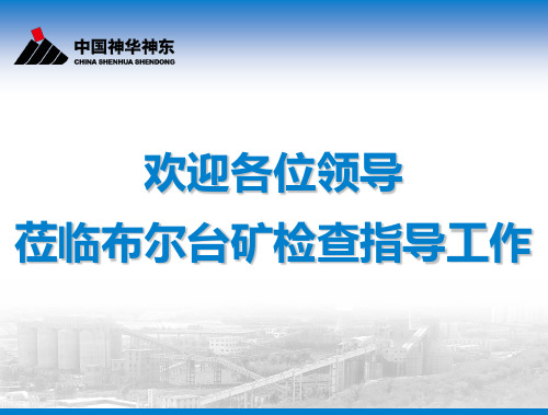 布尔台煤矿技术例会汇报材料(2013、10.08最终)