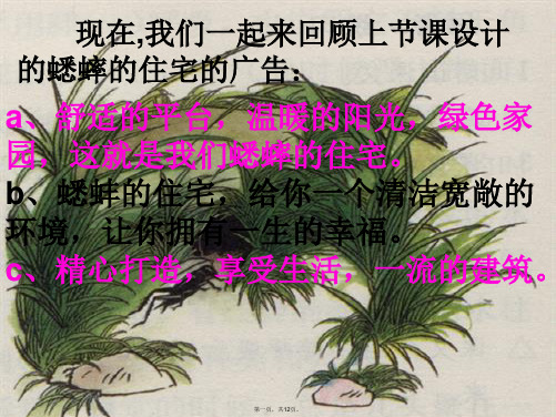 《蟋蟀的住宅》第二课时课件