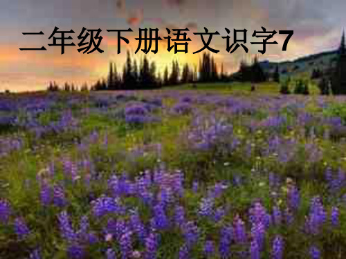 苏教版二年级语文下册《识字7》课件