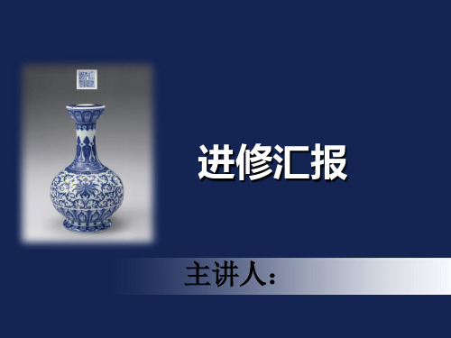 进修总结汇报(ppt)